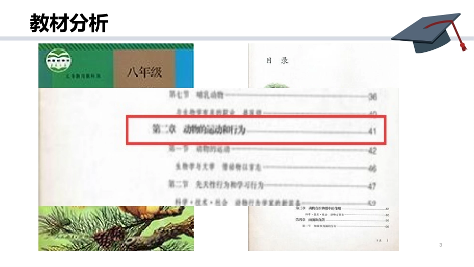 先天性行为和学习行为说课讲课_第3页