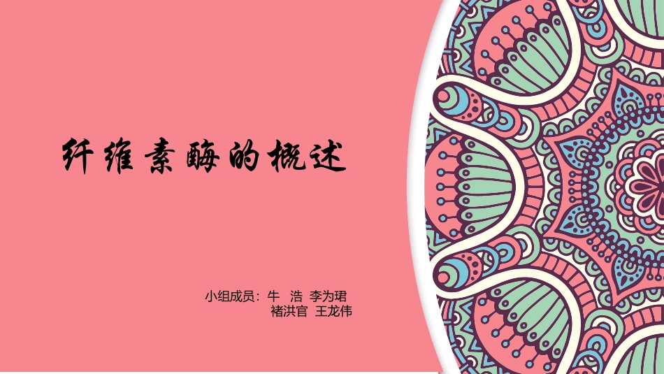 纤维素酶概述_第1页