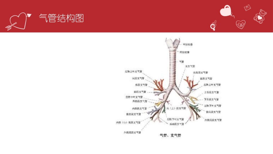 纤维支气管镜检查的护理_第3页