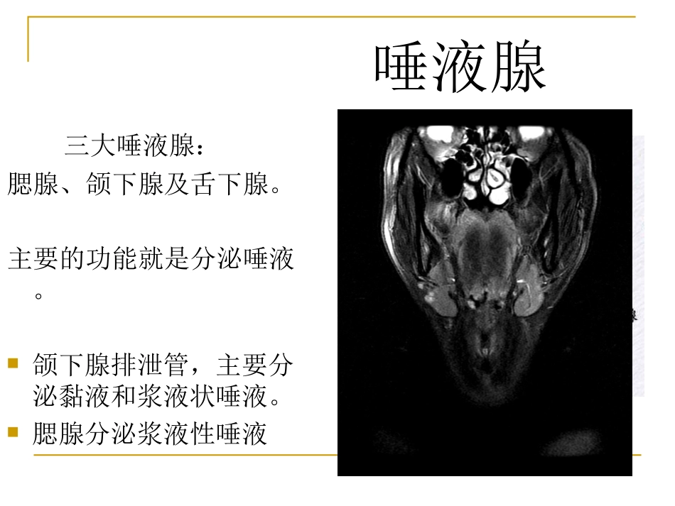 涎腺占位性病变影像诊疗_第2页