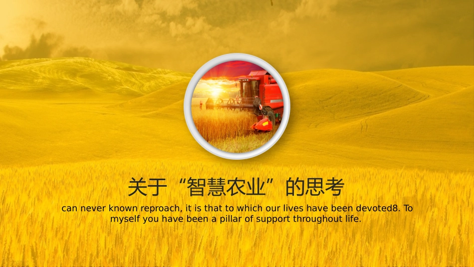 现代农业商业计划书_第3页