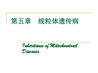 线粒体遗传病精