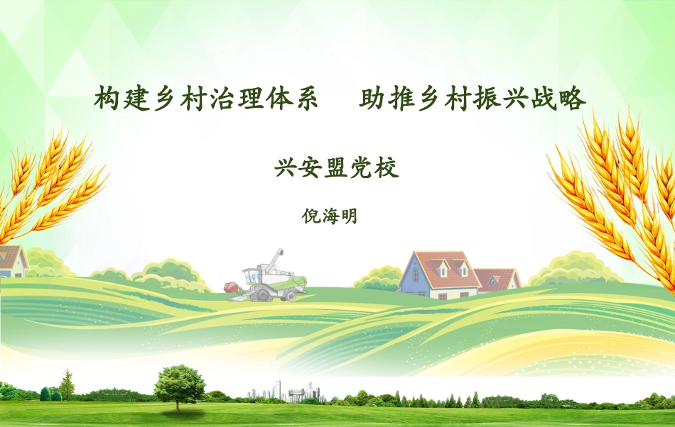 乡村振兴战略乡村治理_第3页