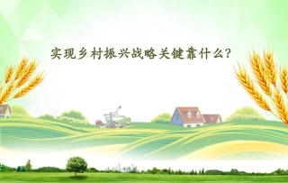 乡村振兴战略乡村治理