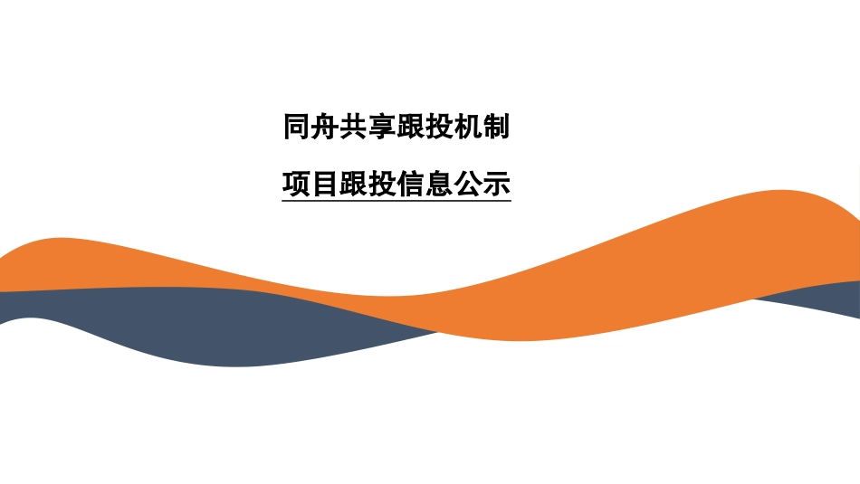 项目跟投机制_第1页