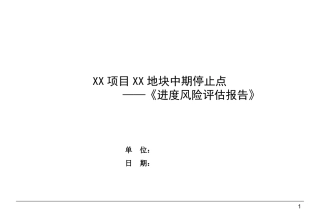 项目进度风险评估报告