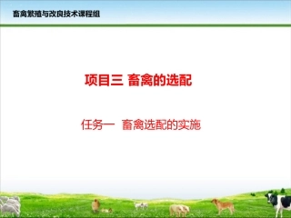 项目三任务一畜禽选配的实施