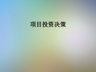 项目投资决策