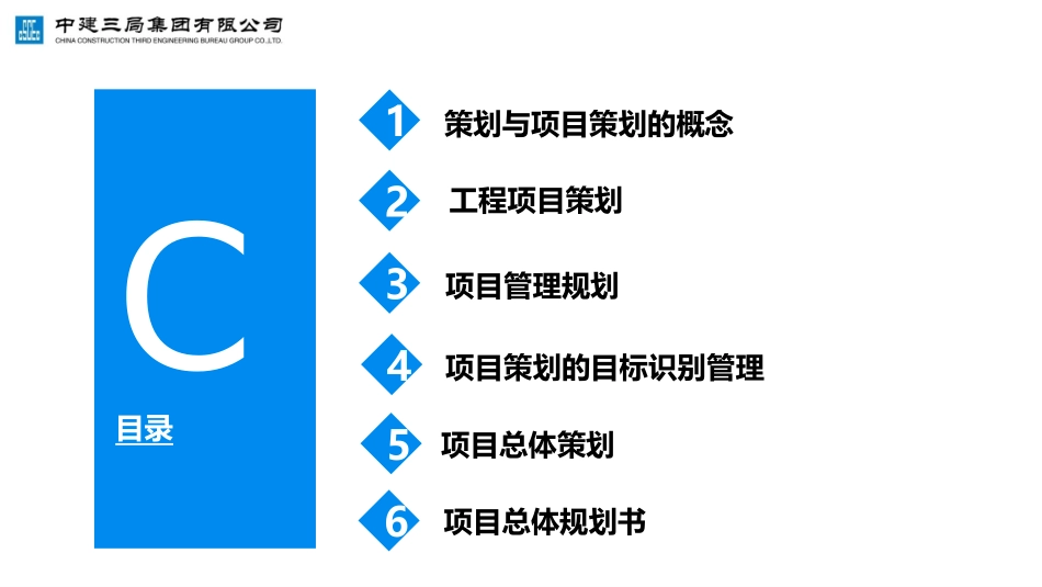 项目总体规划管理_第3页