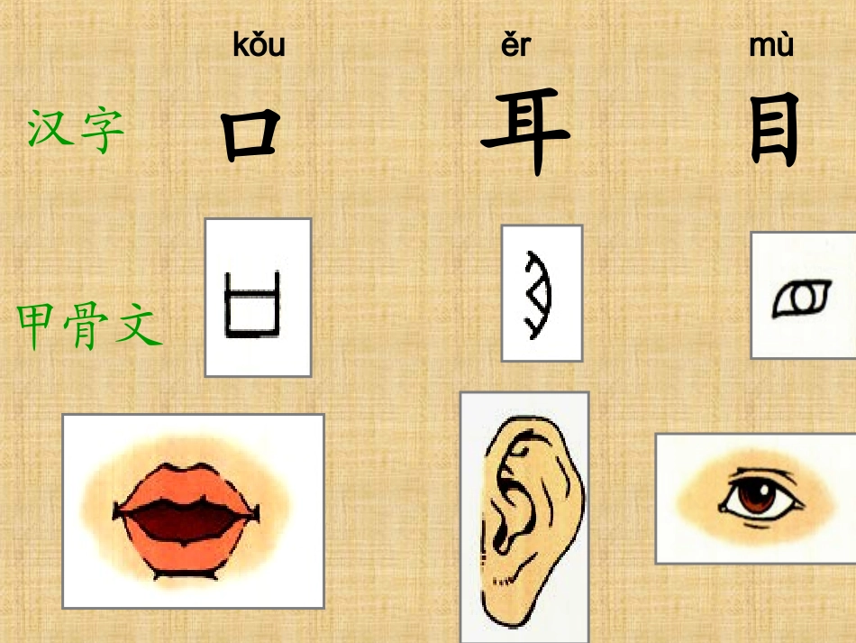 象形字口耳目教学_第2页
