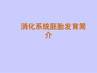 消化系统胚胎发育简介