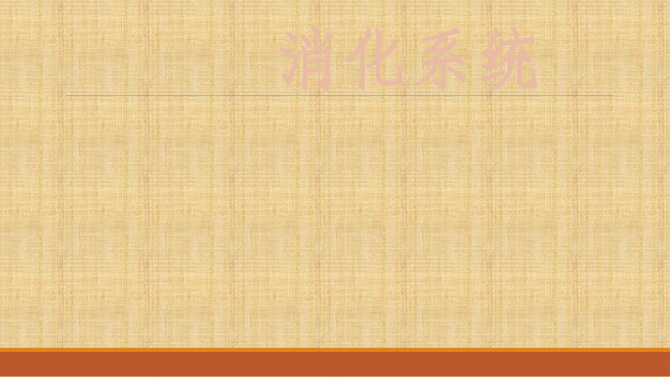 消化系统系统解剖学_第1页