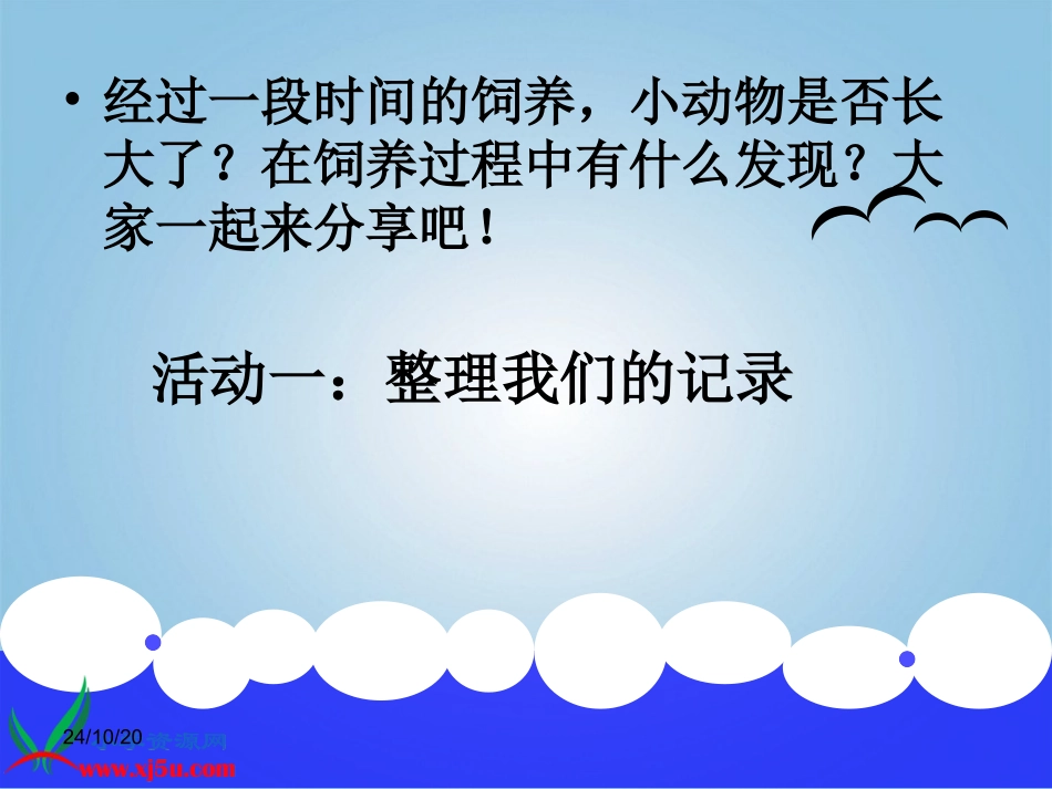 小动物的生长_第2页