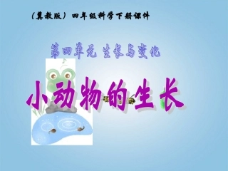 小动物的生长