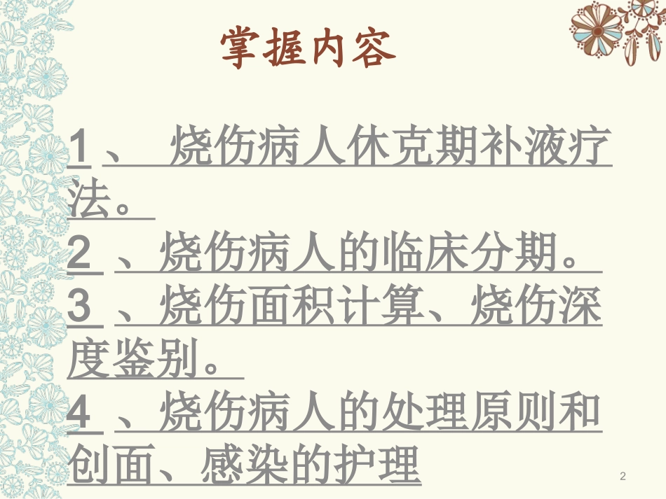 小儿烧伤护理总结_第2页