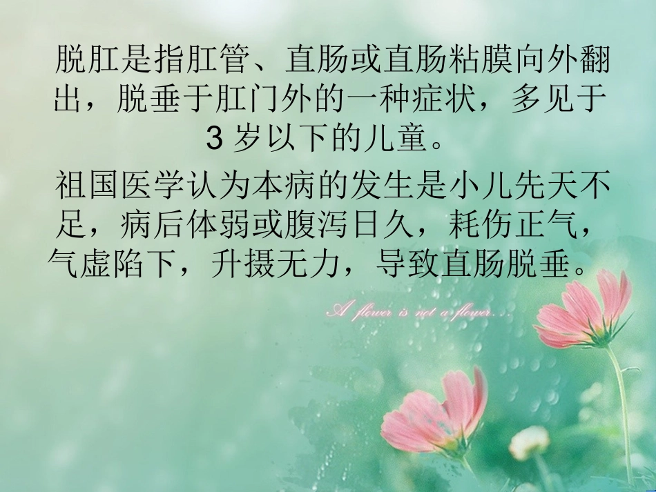 小儿推拿课件小儿脱肛_第2页