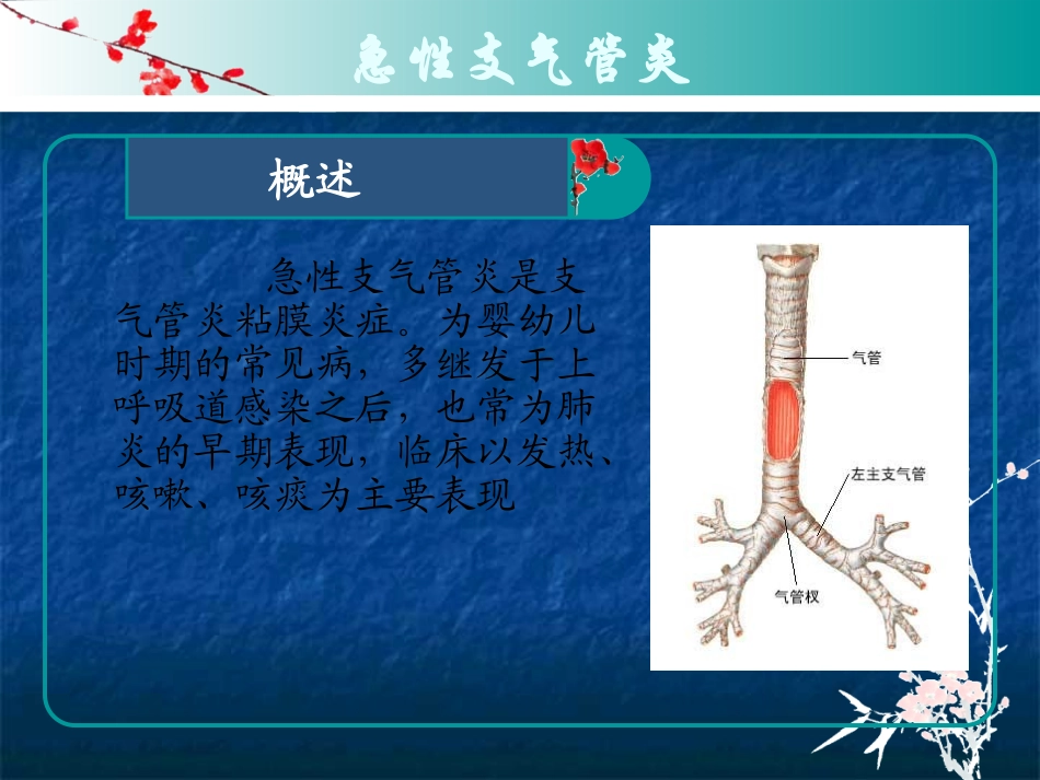 小儿支气管炎护理查房课件_第2页