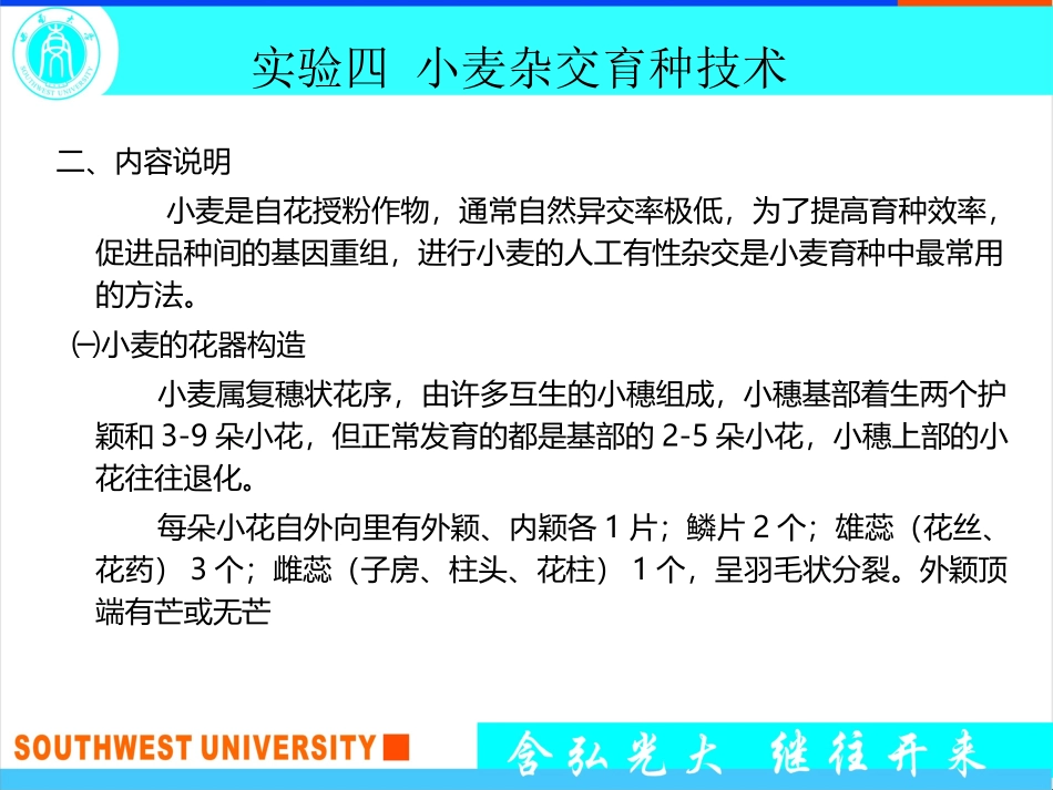 小麦杂交育种技术_第2页