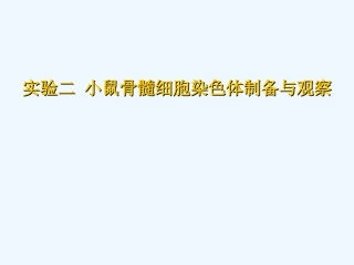 小鼠骨髓细胞染色体制备及观察