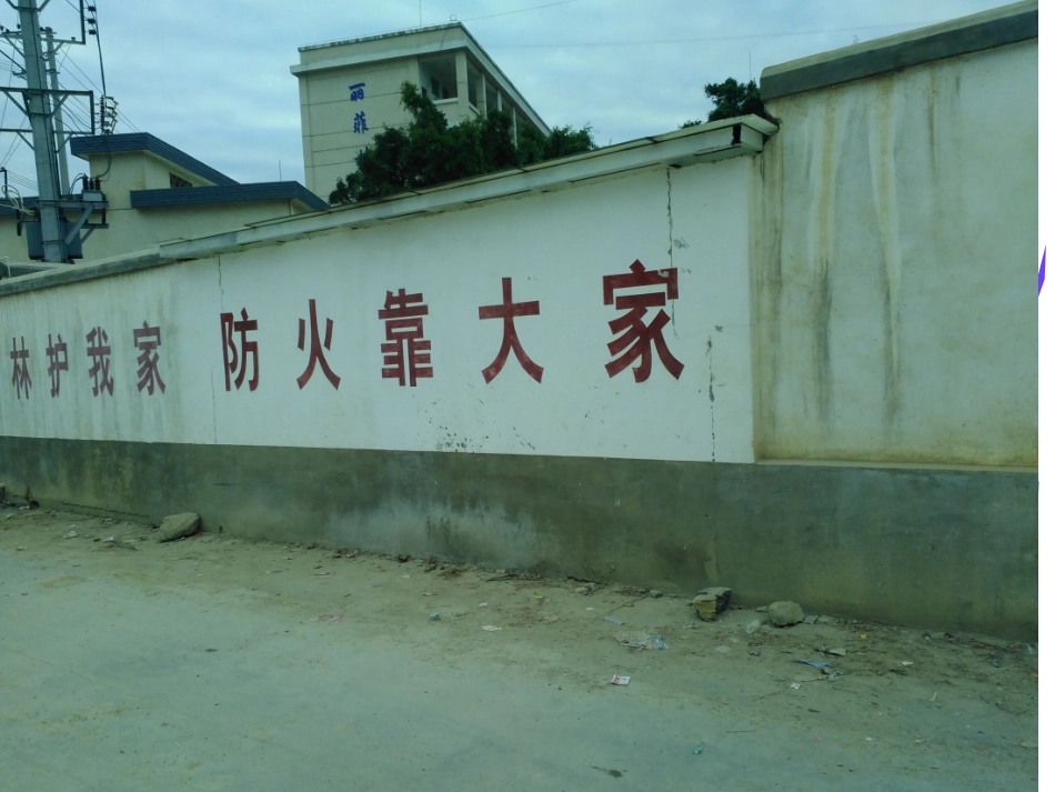 小学森林防火宣传_第2页