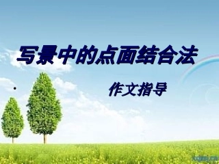 写景中的点面结合