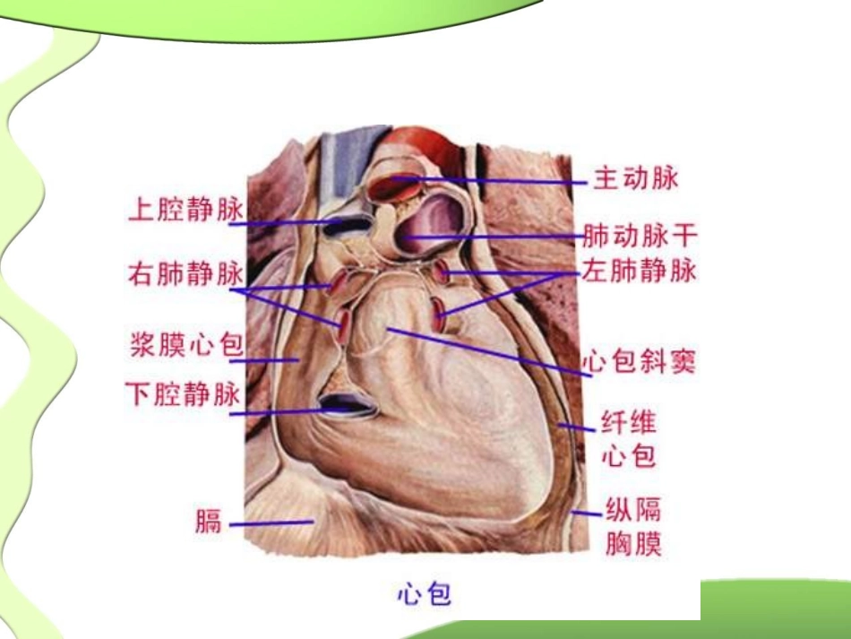 心包填塞的识别和抢救配合_第3页