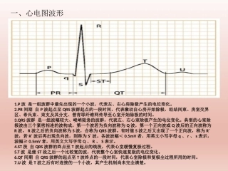 心电图基础知识讲解