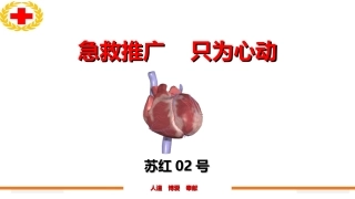 心肺复苏高质量心肺复苏操作要领