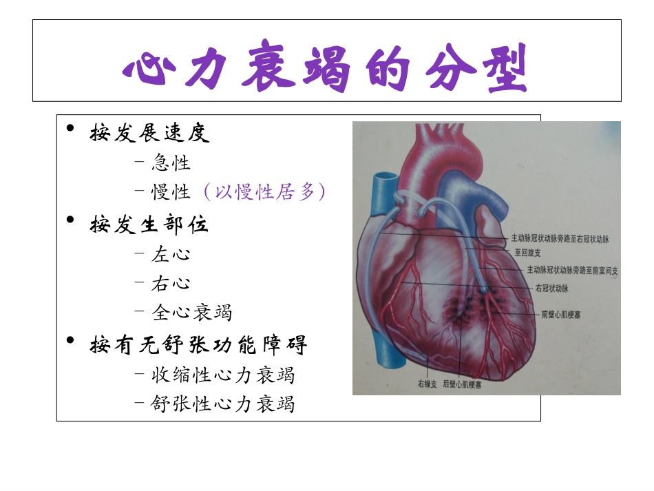 心功能不全健康教育_第3页