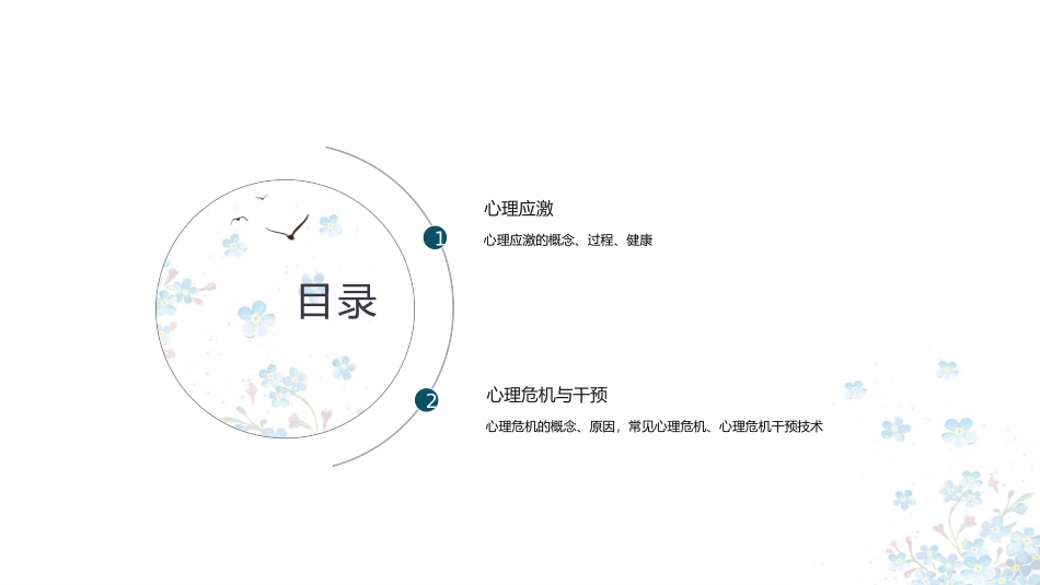 心理和精神护理心理应激和危机干预_第2页
