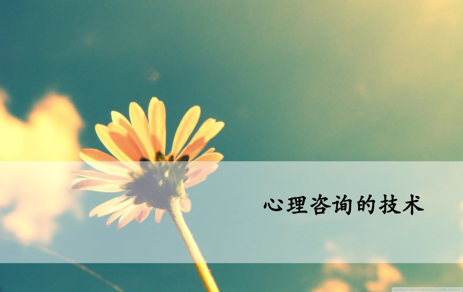 心理咨询的技术_第1页