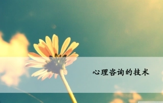 心理咨询的技术