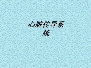 心脏传导系统讲义