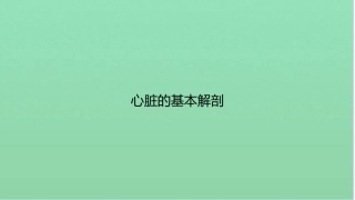 心脏的基本解剖课件