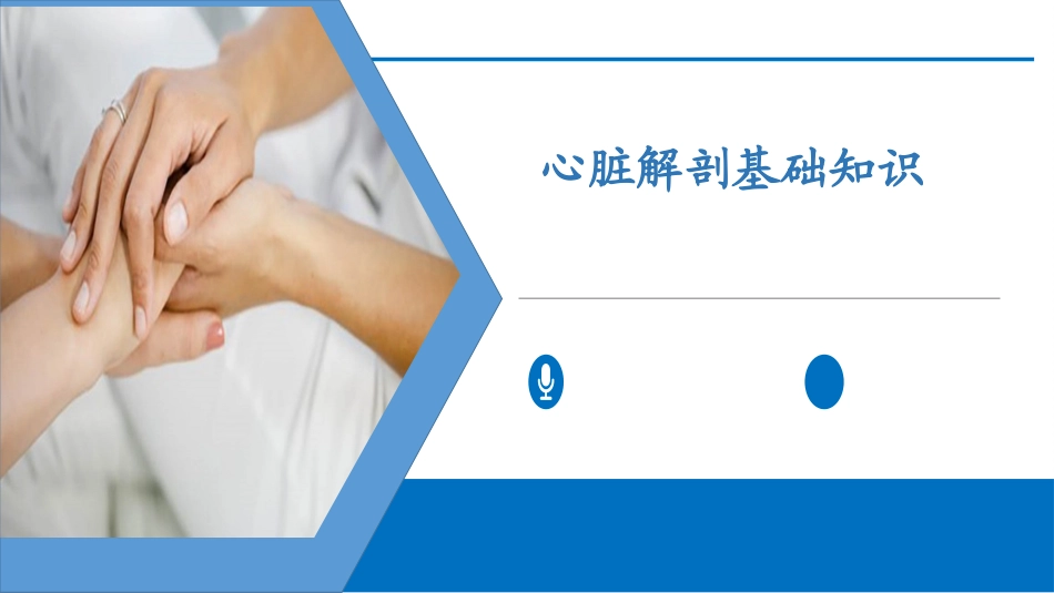 心脏基础知识_第1页