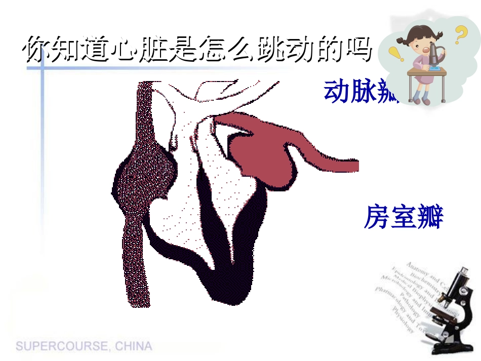 心脏血液循环_第3页