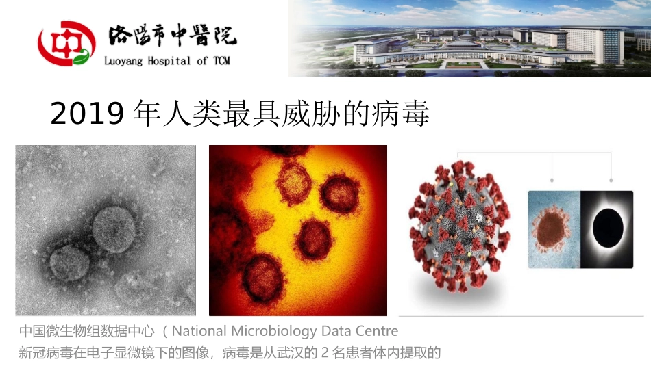 新冠肺炎病理基础_第3页