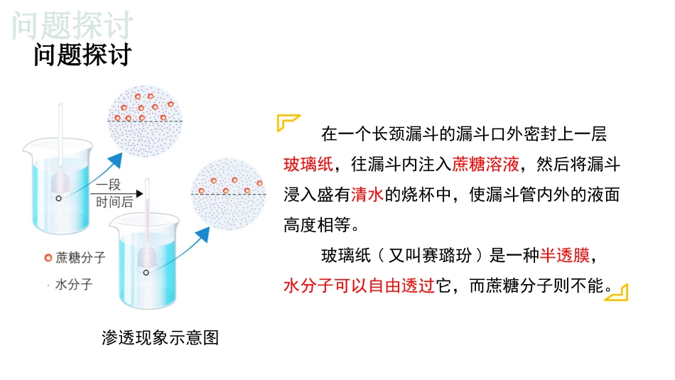 新教材被动运输_第2页