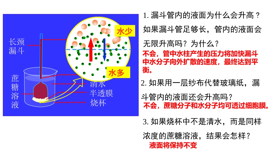 新教材被动运输_第3页
