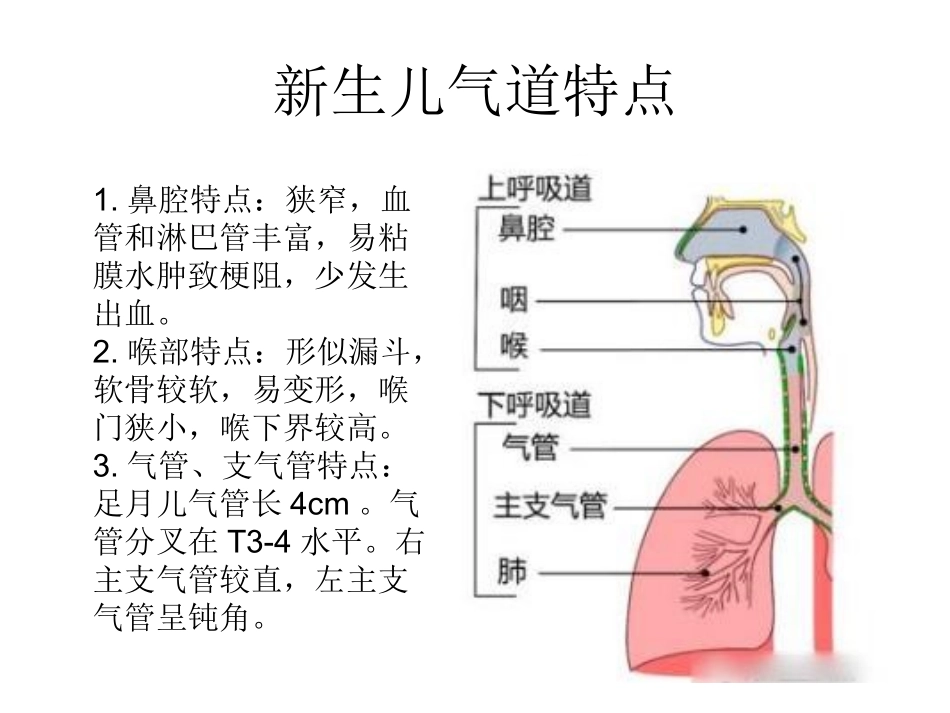 新生儿气管插管_第3页