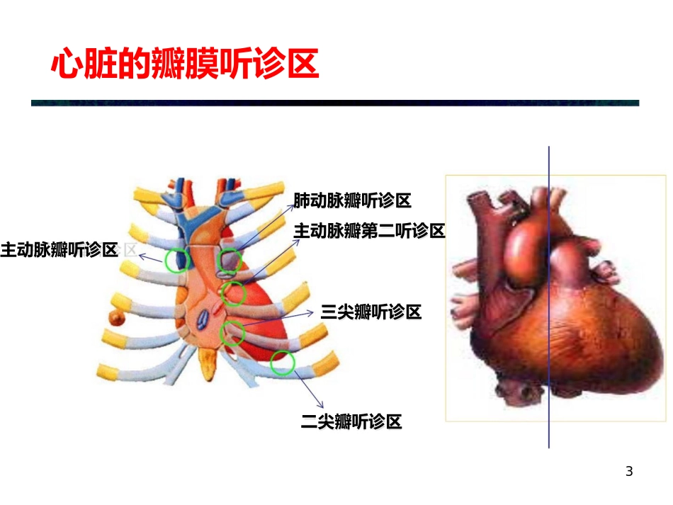 新生儿心脏听诊及血氧测量_第3页