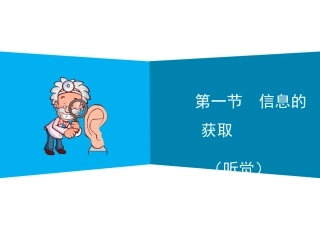 信息的获取听觉