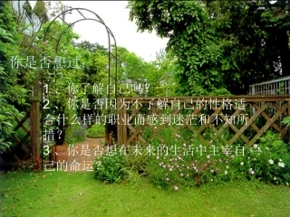 性格与职业选择分析