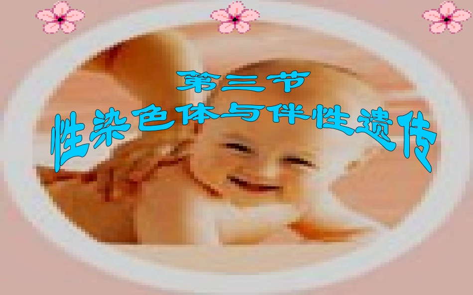 性染色体和伴性遗传_第1页