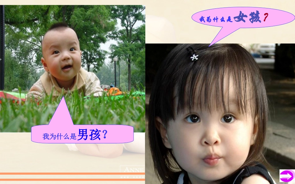 性染色体和伴性遗传_第2页