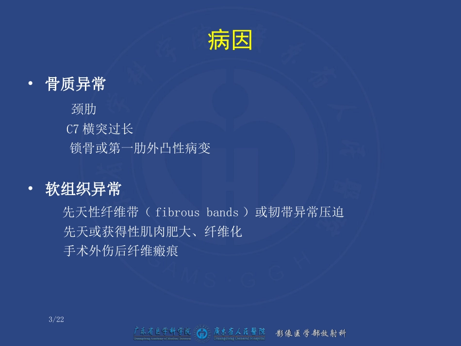 胸廓出口综合征及其相关解剖_第3页