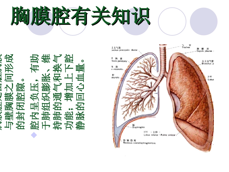 胸腔闭式引流及护理_第3页