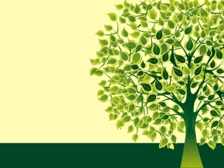 胸腔闭式引流及护理