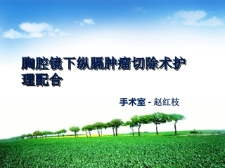 胸腔镜下纵膈肿瘤切除术