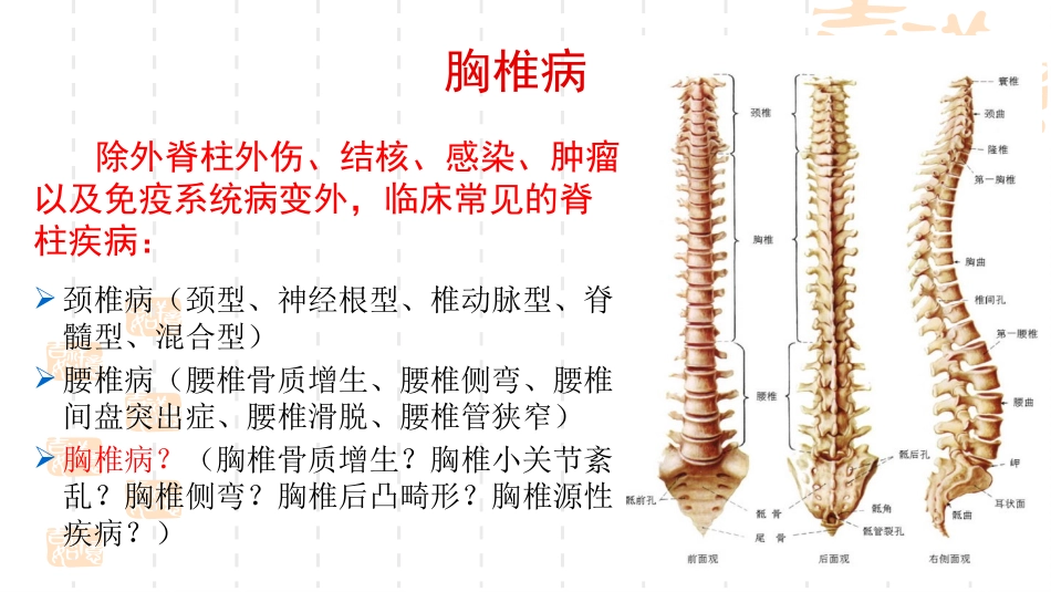 胸椎病诊疗和治疗_第2页